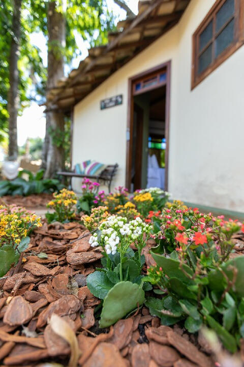 Chalé Chalé